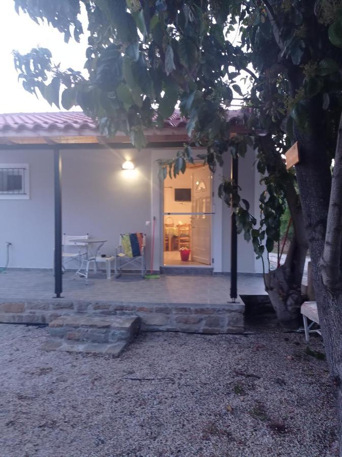 Avocado House Villa Finikounta Exterior photo